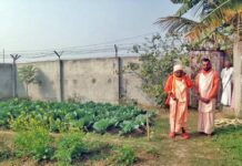 Asociación y Servicio