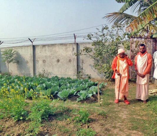 Asociación y Servicio